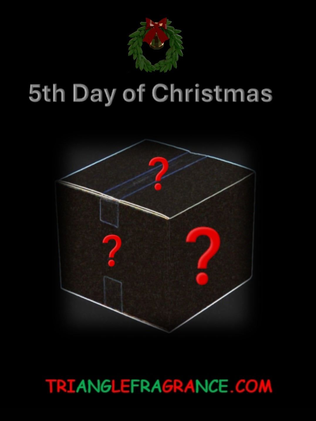 12 Days of Christmas 🪩